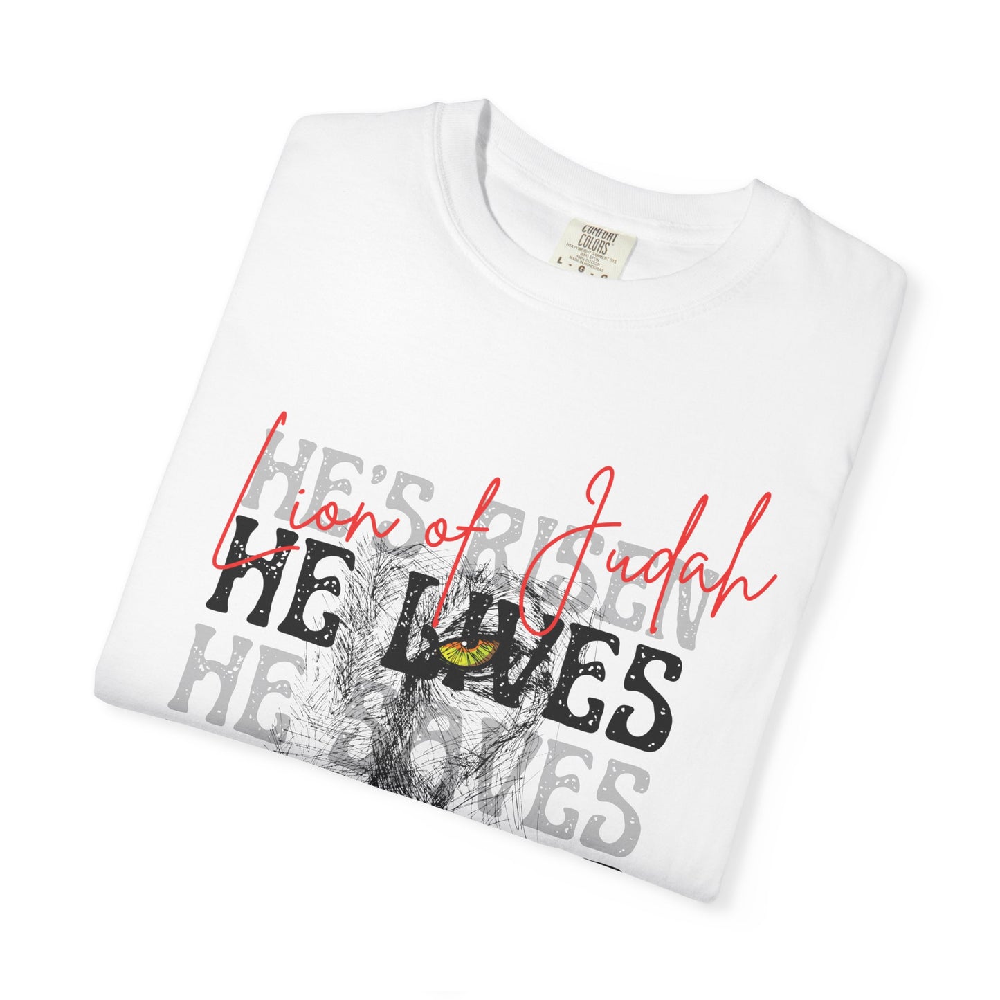 Lion of Judah - Faith Inspired Streetwear