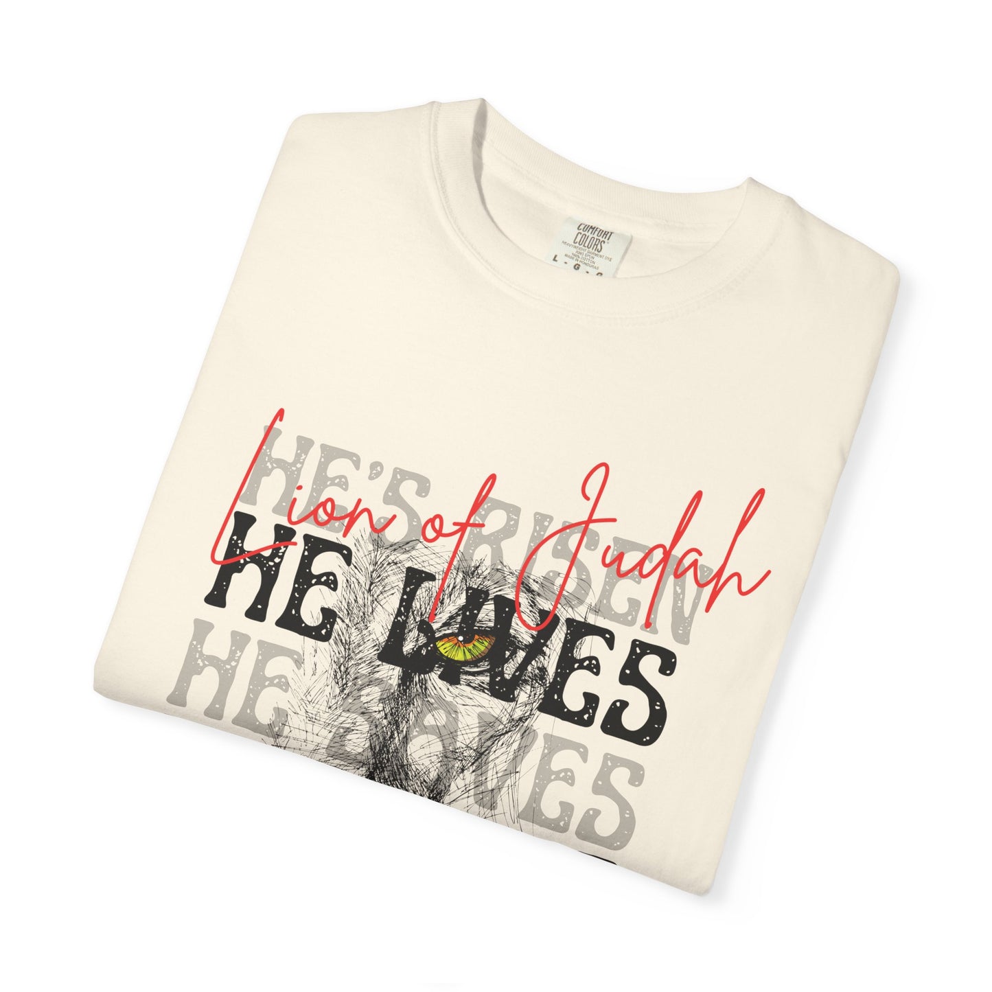 Lion of Judah - Faith Inspired Streetwear