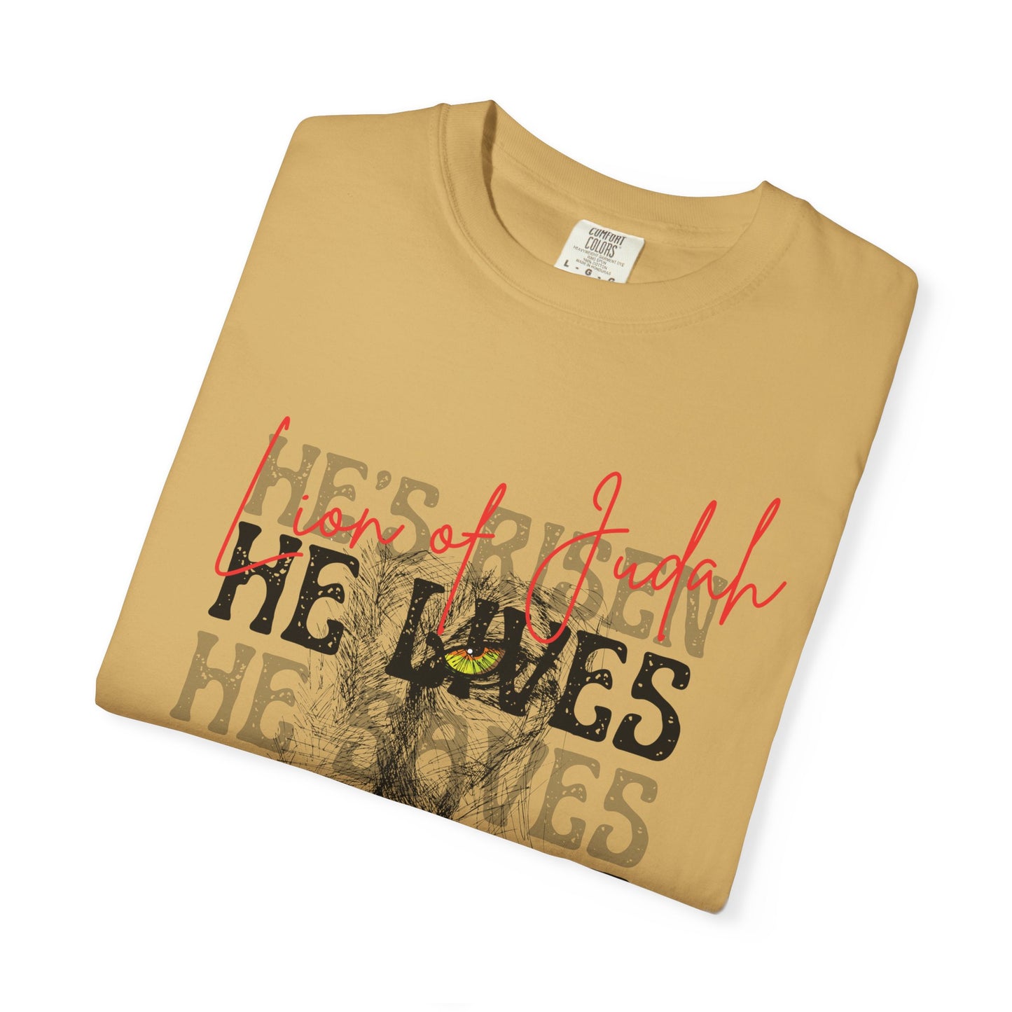 Lion of Judah - Faith Inspired Streetwear