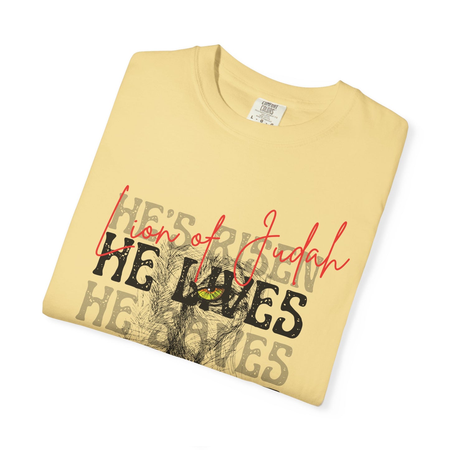 Lion of Judah - Faith Inspired Streetwear