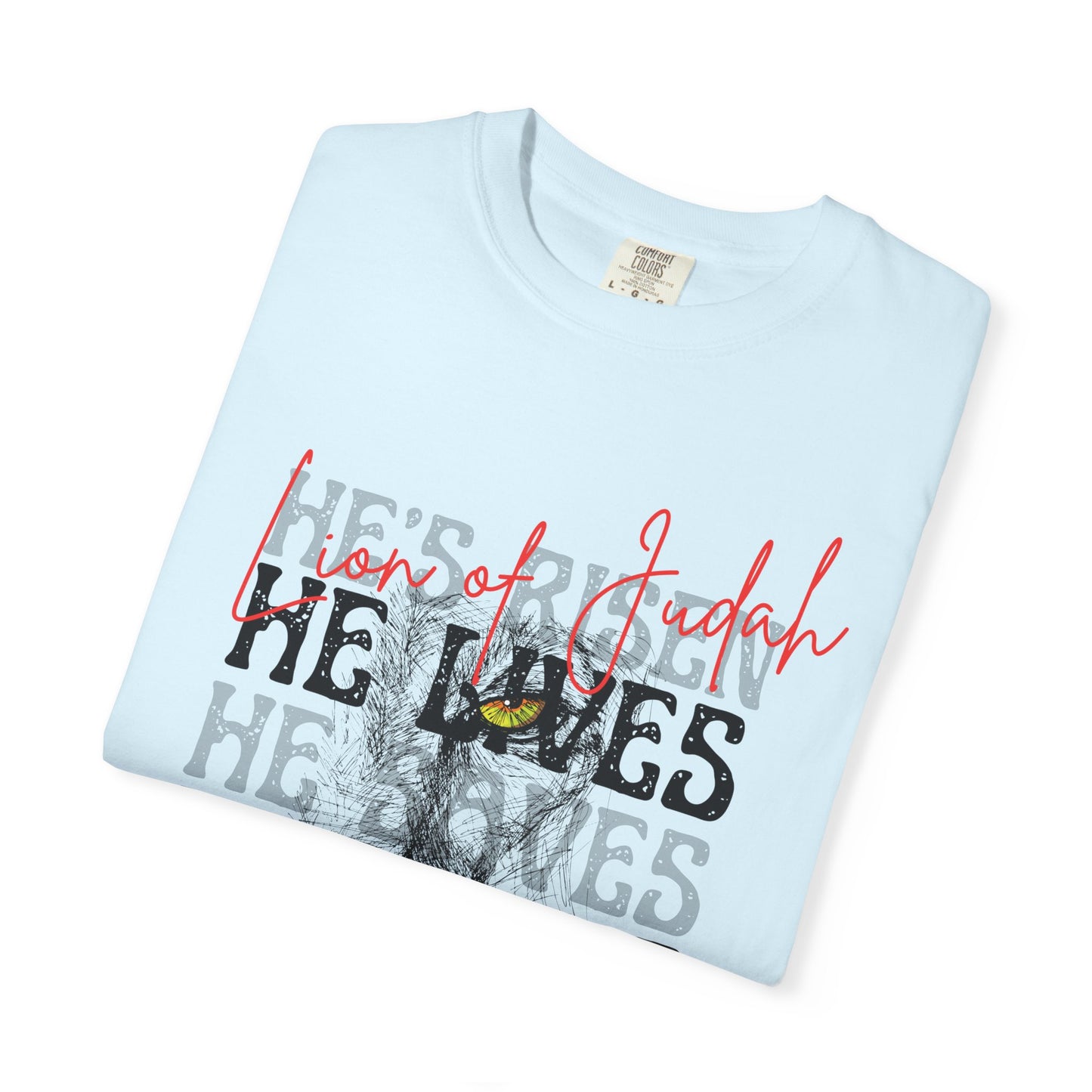 Lion of Judah - Faith Inspired Streetwear