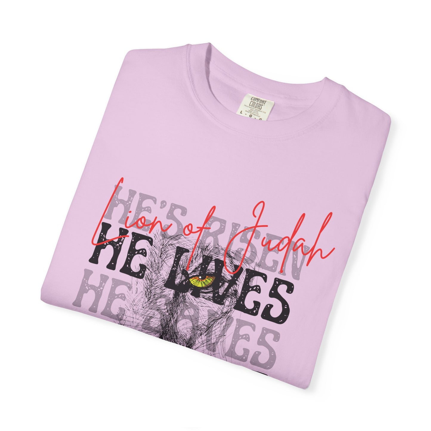 Lion of Judah - Faith Inspired Streetwear