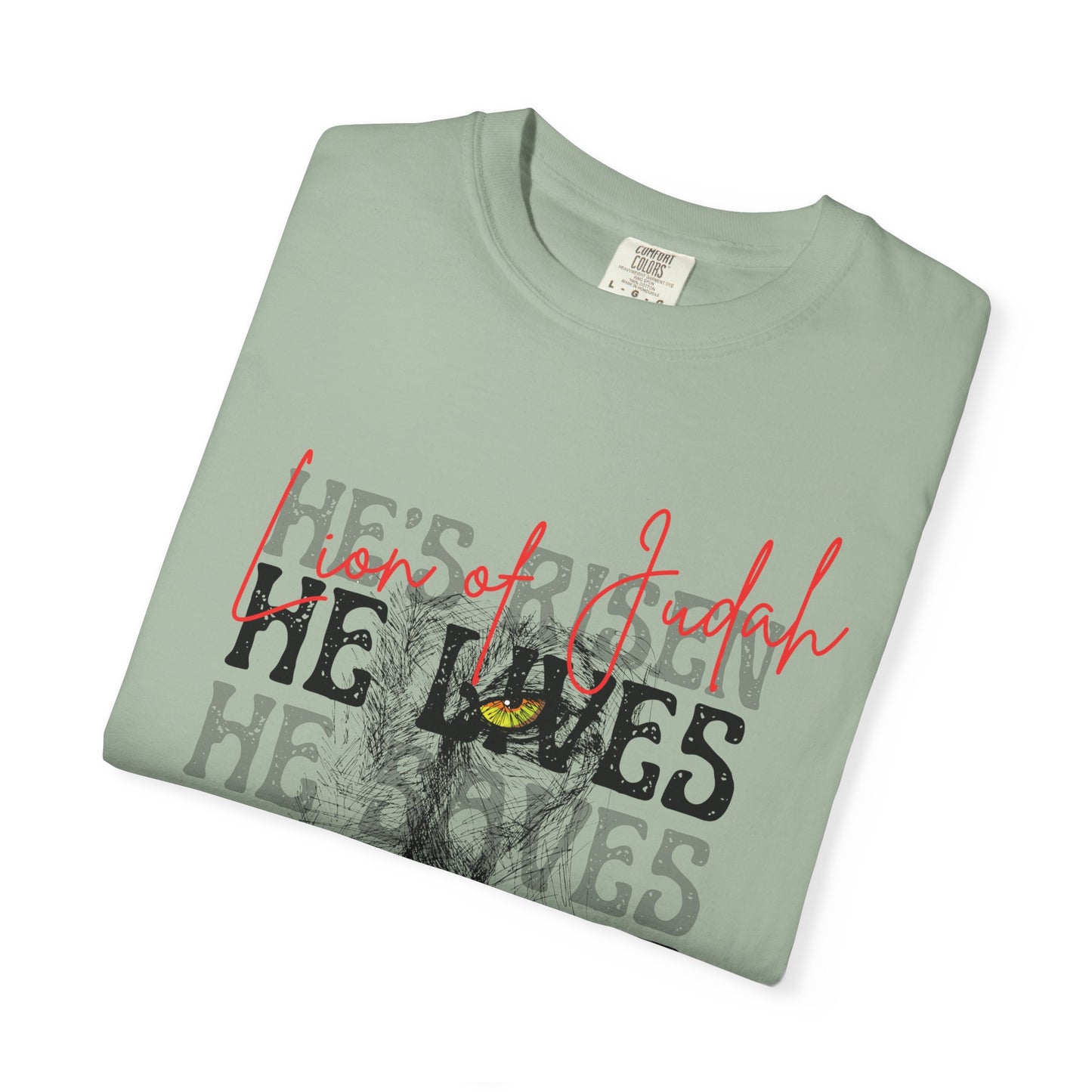 Lion of Judah - Faith Inspired Streetwear